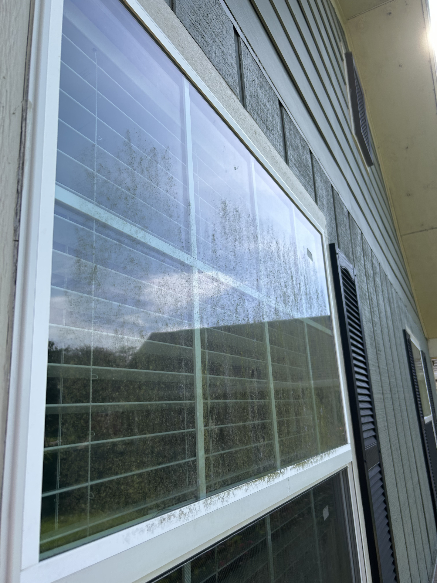 Dirty windows with visible stains and grime before professional cleaning